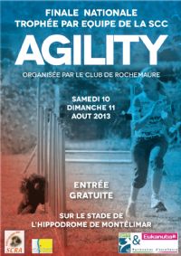 Finale nationale Agility. Du 10 au 11 août 2013 à Montélimar. Drome. 